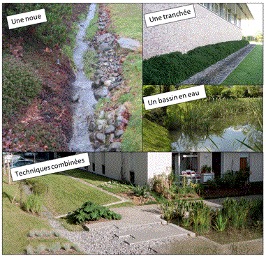 Dispositif de traitement des eaux de pluie
