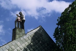 Intervention d'enlèvement de guêpes ou abeilles sauvages dans une cheminée à Uccle 