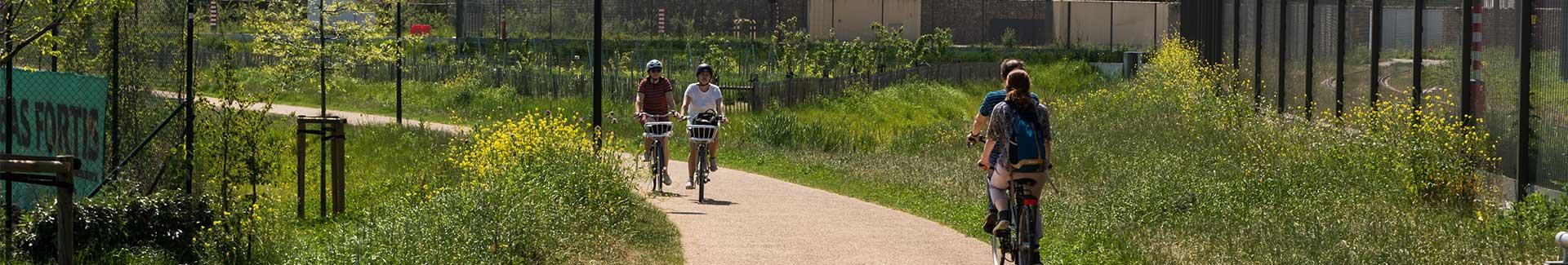 Nature et biodiversité