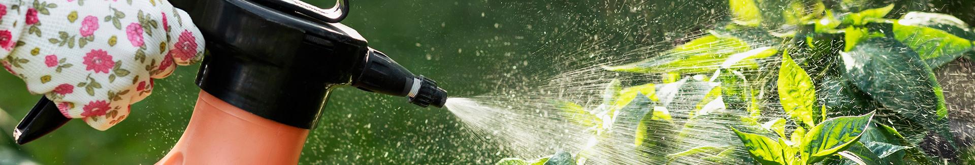 Action zéro pesticide : vers des jardins plus naturels à Uccle