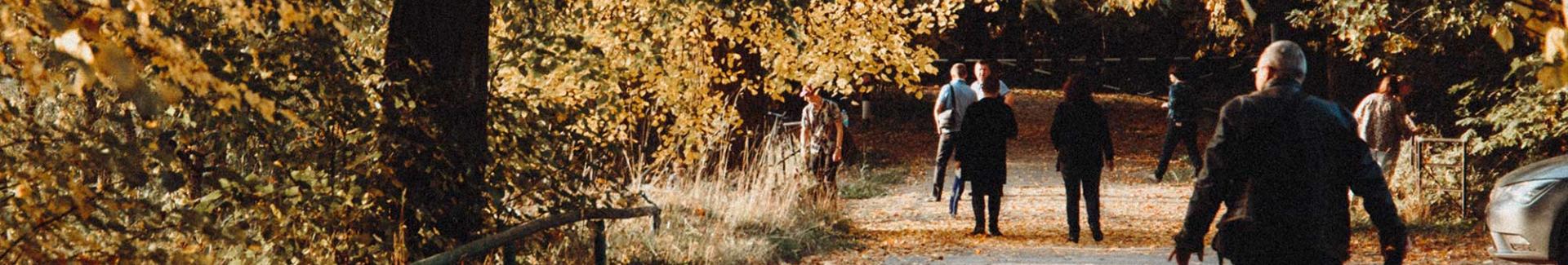 Promenades du lundi